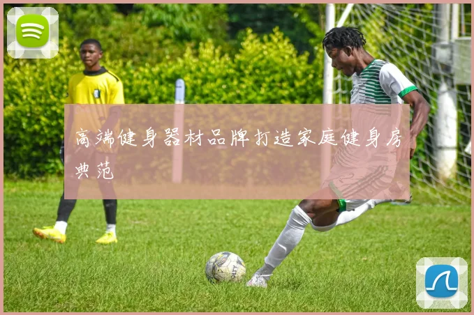 高端健身器材品牌打造家庭健身房典范