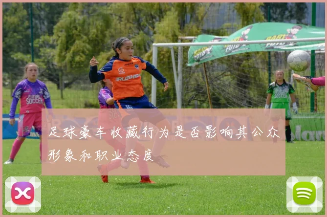 足球豪车收藏行为是否影响其公众形象和职业态度