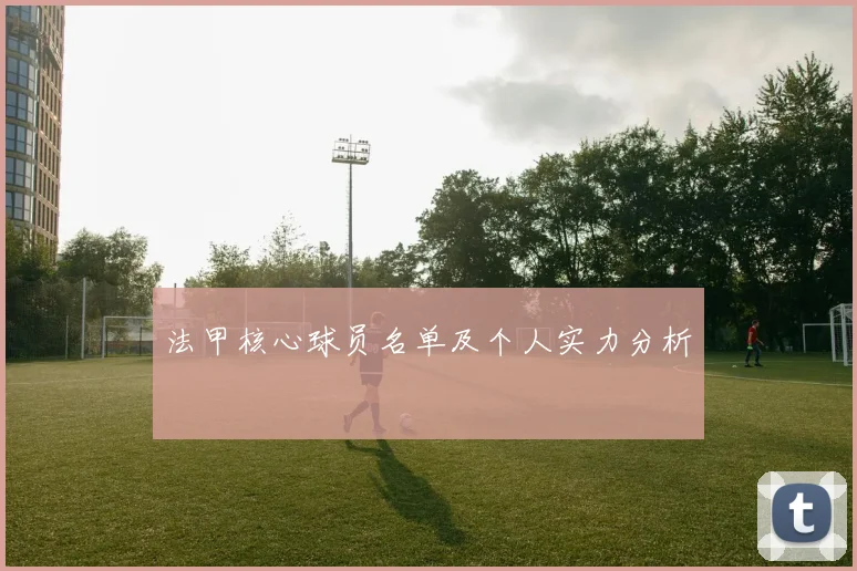 法甲核心球员名单及个人实力分析