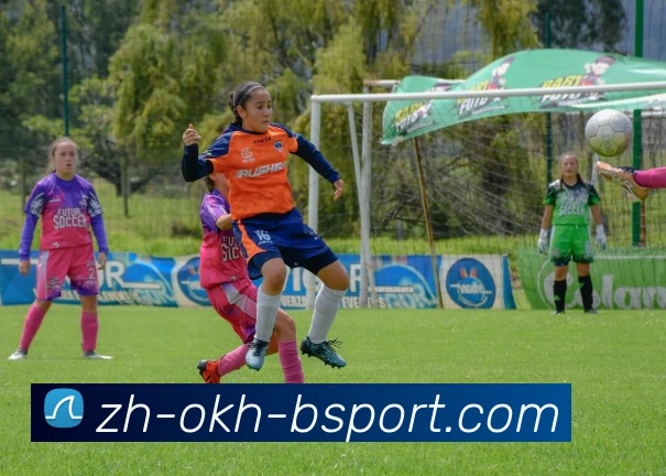 B体育APP 封面图